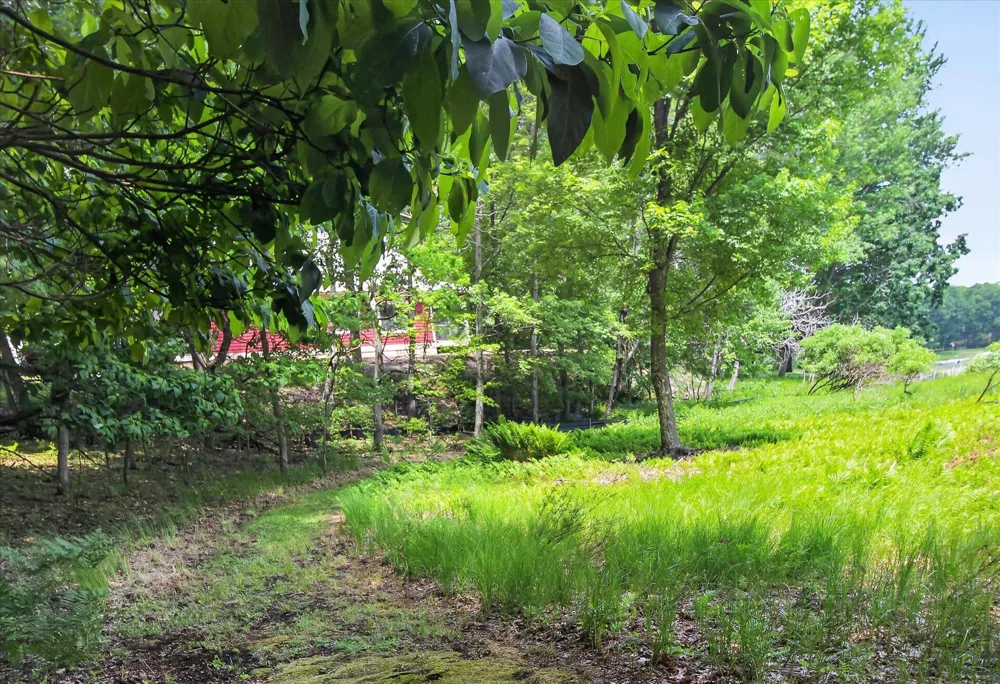 14564 S Star Lake Drive Lake Township, MI 49304