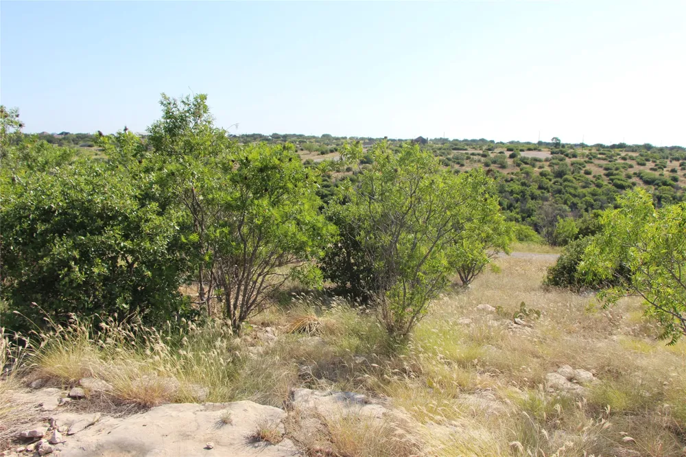 163 Baltrusol Drive Graford, TX 76449