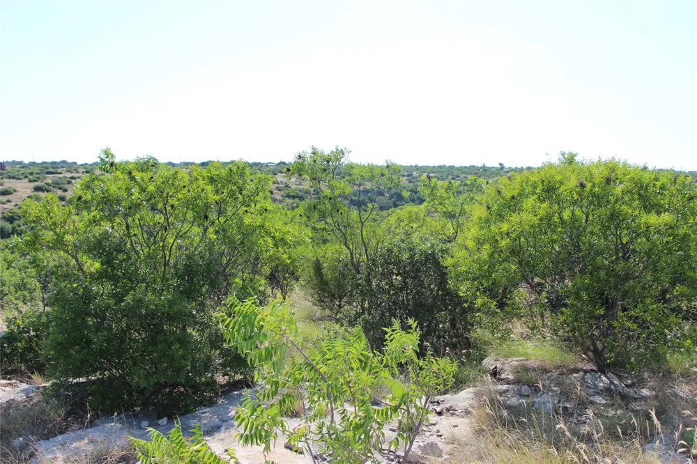 163 Baltrusol Drive Graford, TX 76449