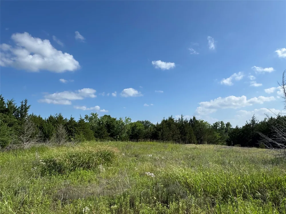 5909 Farm Road 38 S Brookston, TX 75421