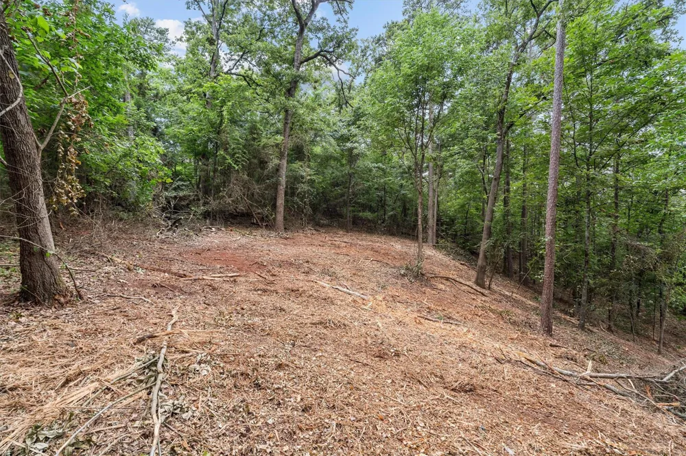 23487 Canyon Drive Bullard, TX 75757