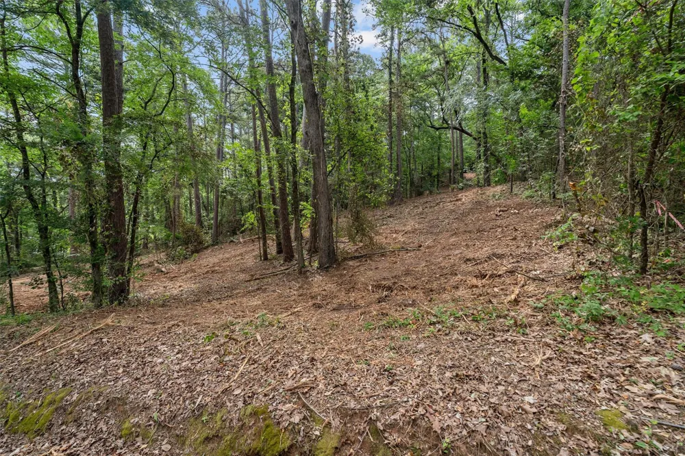 23487 Canyon Drive Bullard, TX 75757