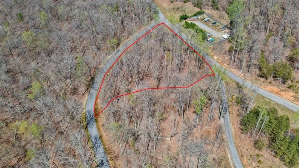 253 N Laceola Road Cleveland, GA 30528