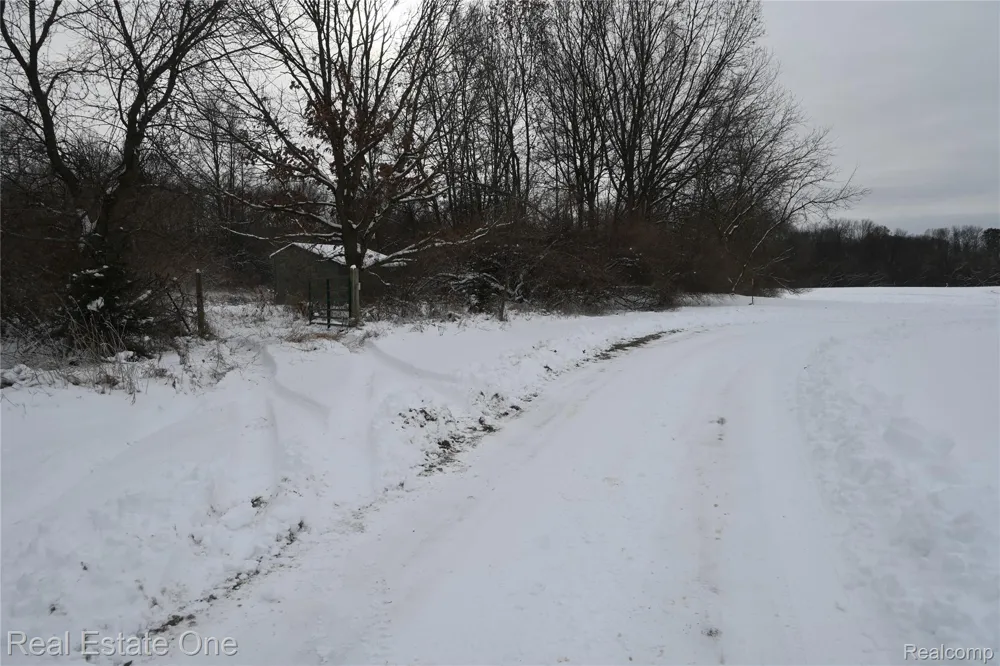 Roberts Drive Henrietta Township, MI 49259