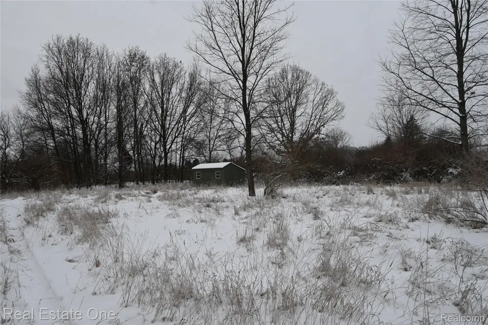Roberts Drive Henrietta Township, MI 49259