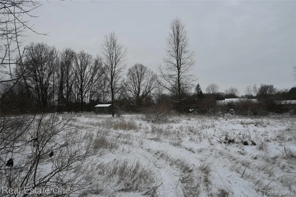 Roberts Drive Henrietta Township, MI 49259