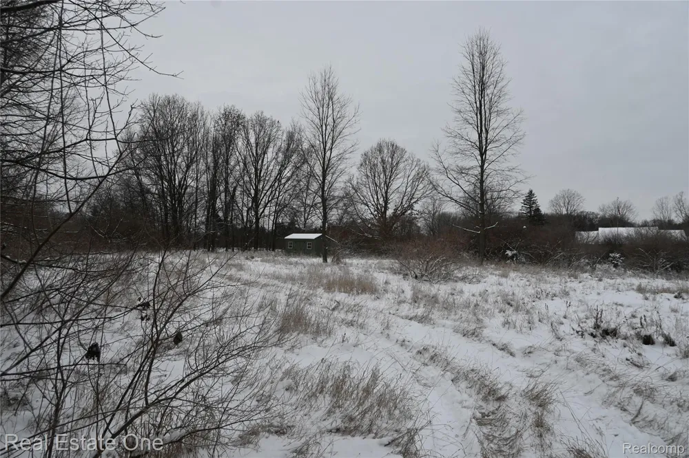 Roberts Drive Henrietta Township, MI 49259
