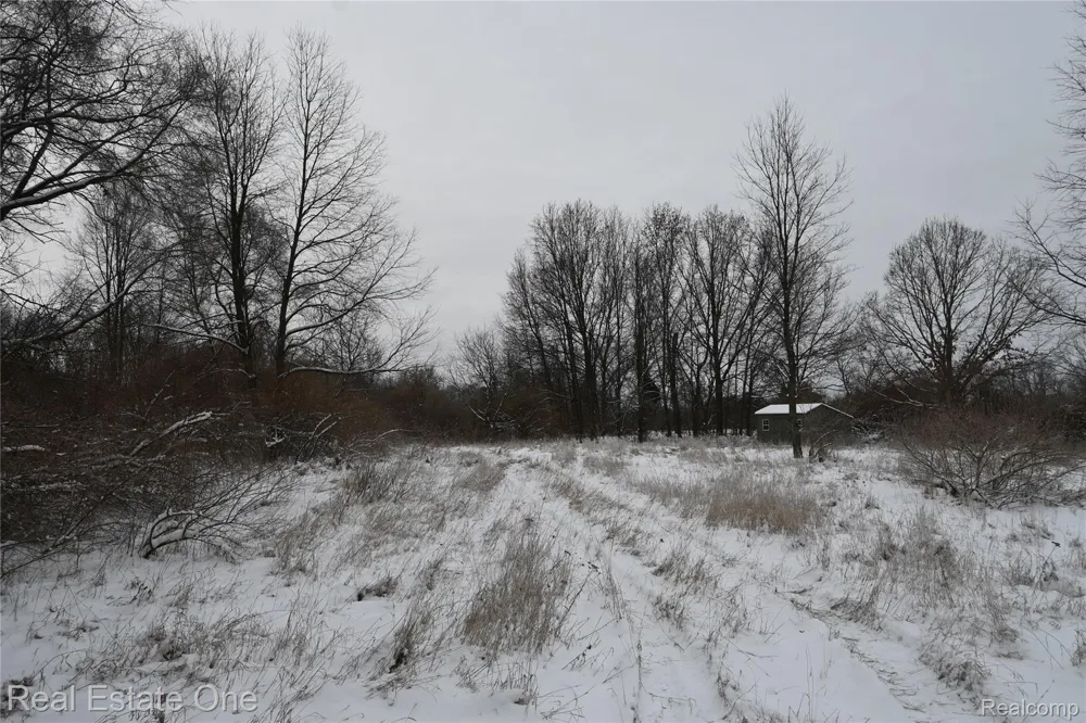 Roberts Drive Henrietta Township, MI 49259