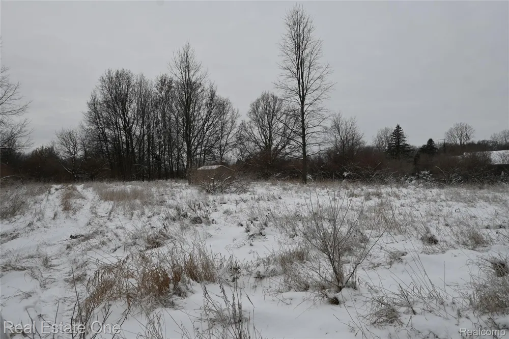 Roberts Drive Henrietta Township, MI 49259