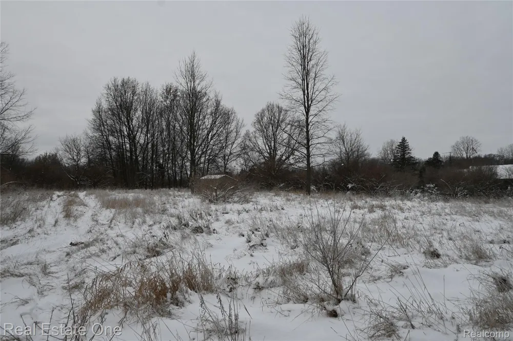 Roberts Drive Henrietta Township, MI 49259