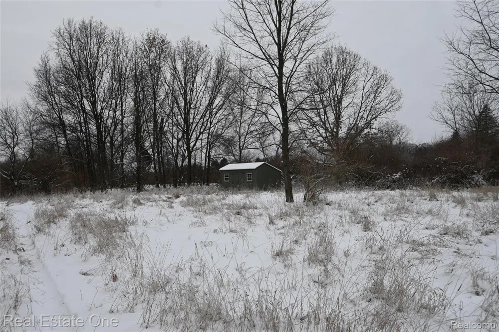 Roberts Drive Henrietta Township, MI 49259