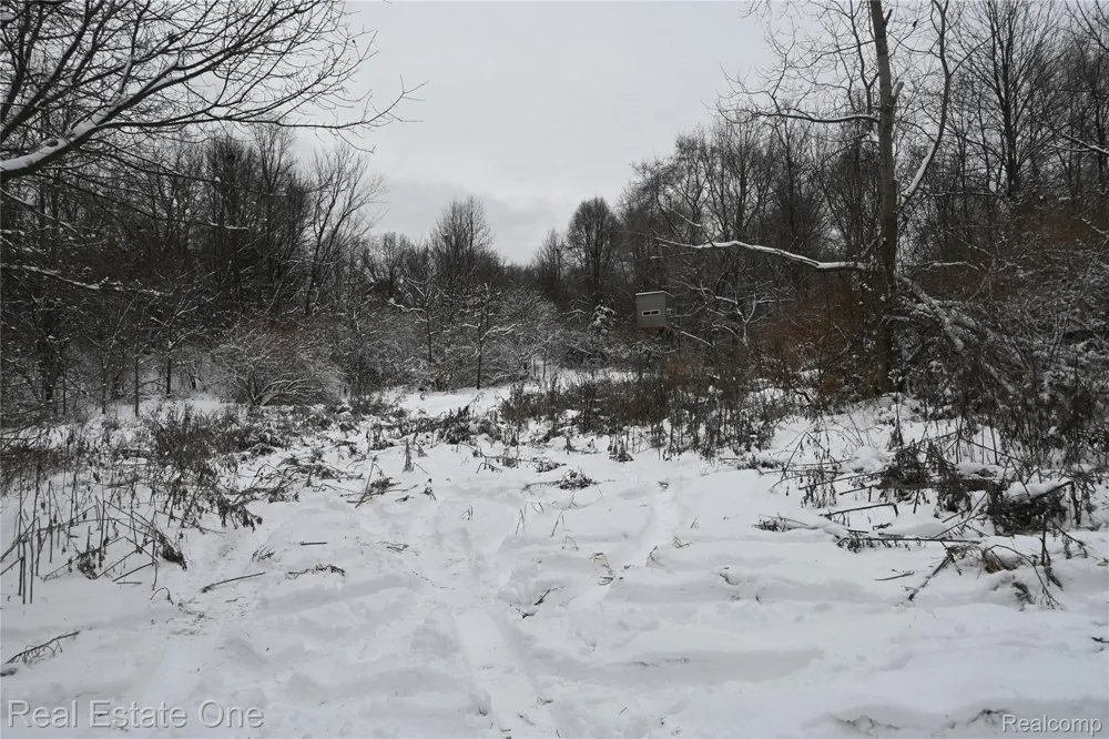 Roberts Drive Henrietta Township, MI 49259