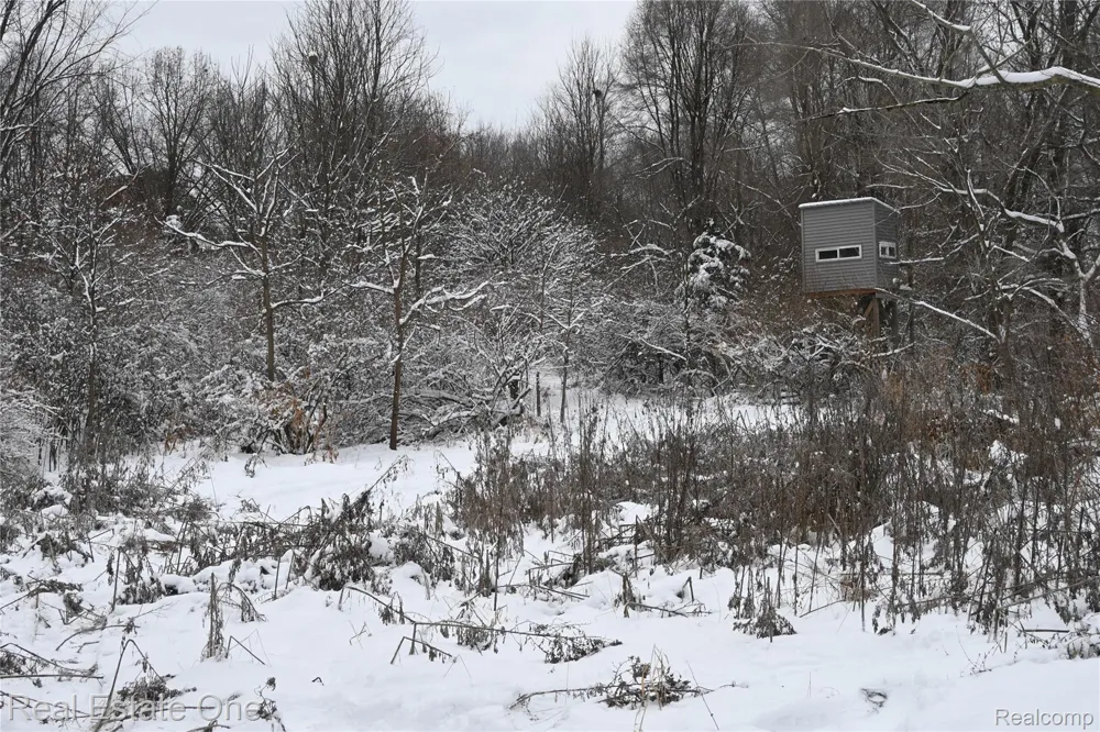 Roberts Drive Henrietta Township, MI 49259