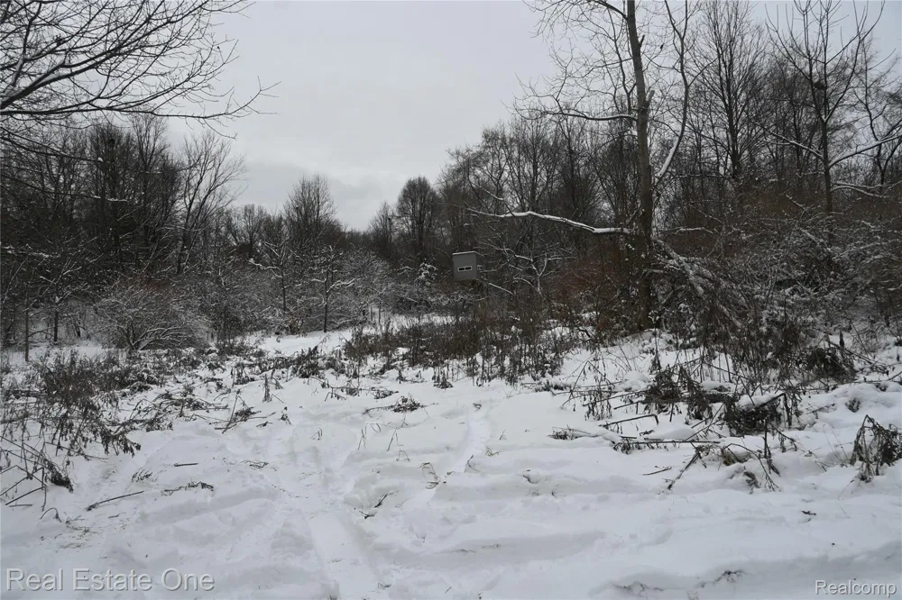 Roberts Drive Henrietta Township, MI 49259