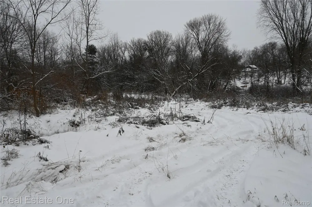 Roberts Drive Henrietta Township, MI 49259