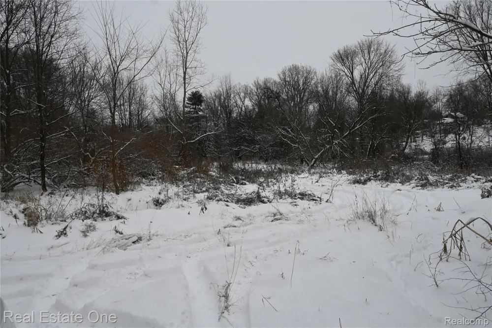 Roberts Drive Henrietta Township, MI 49259