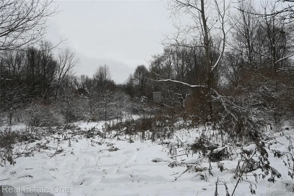 Roberts Drive Henrietta Township, MI 49259