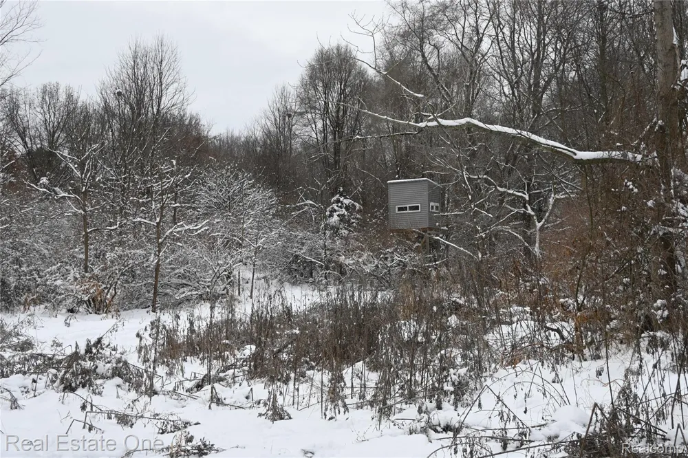 Roberts Drive Henrietta Township, MI 49259