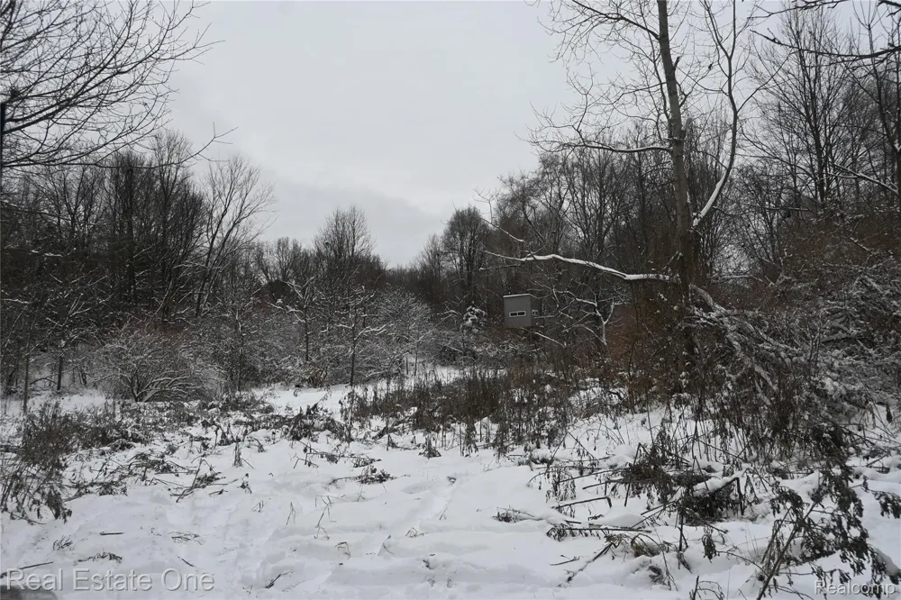Roberts Drive Henrietta Township, MI 49259