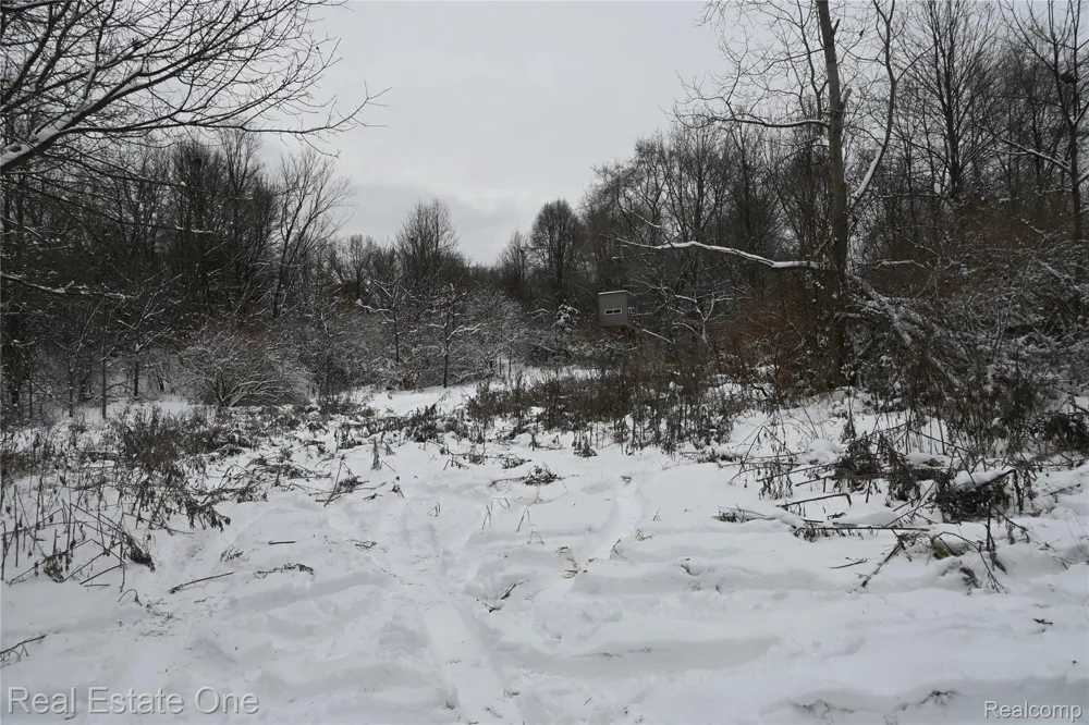 Roberts Drive Henrietta Township, MI 49259