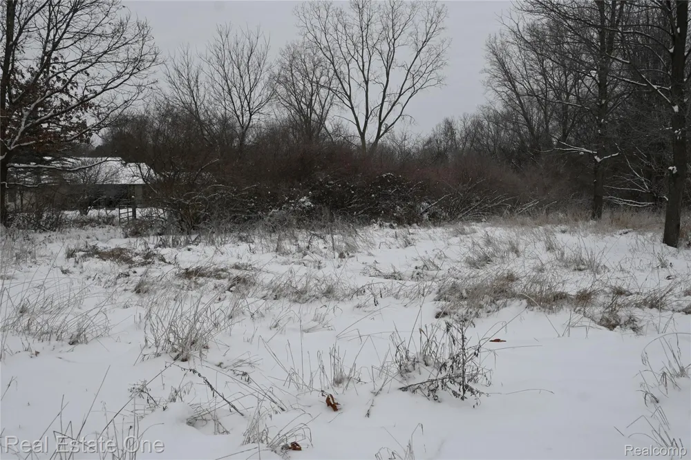 Roberts Drive Henrietta Township, MI 49259