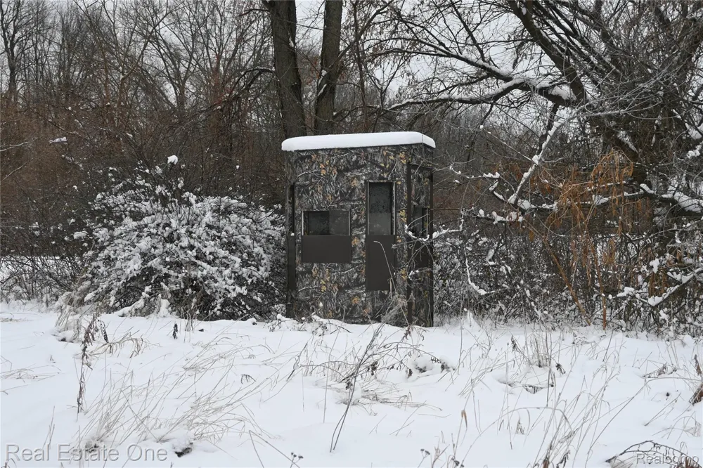 Roberts Drive Henrietta Township, MI 49259