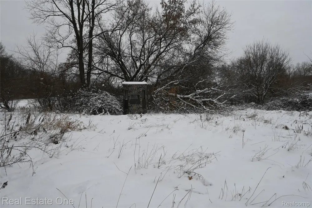 Roberts Drive Henrietta Township, MI 49259