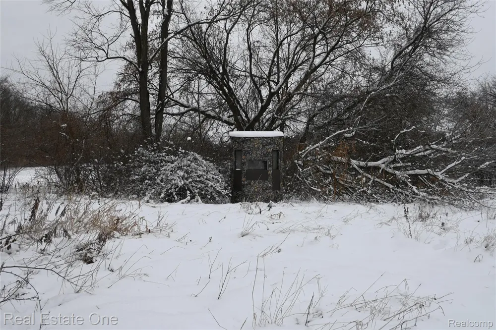 Roberts Drive Henrietta Township, MI 49259