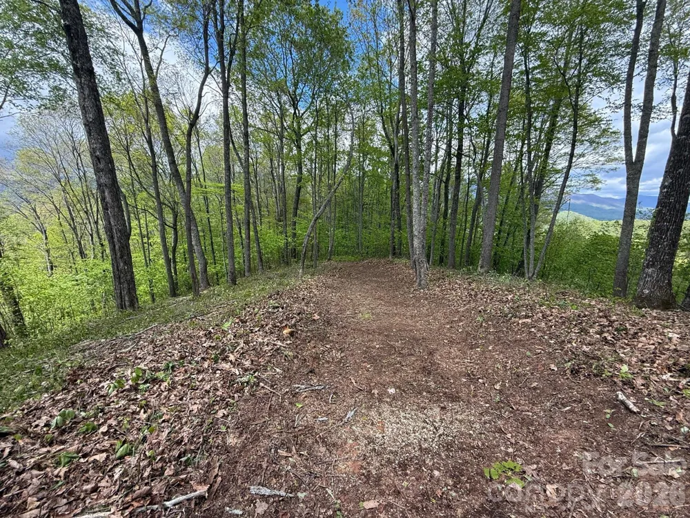 1817 E Reach Road #216 Sylva, NC 28779