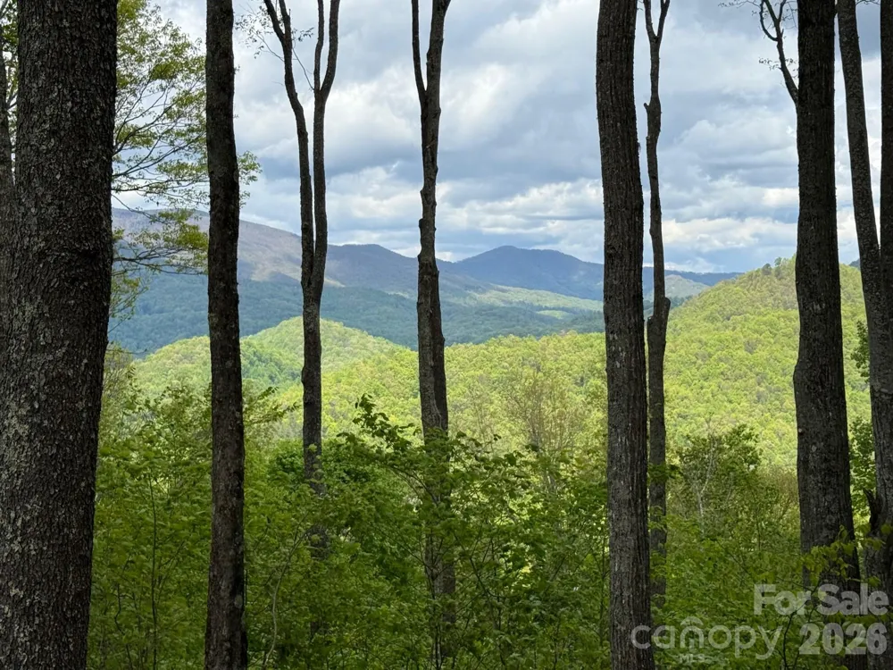 1817 E Reach Road #216 Sylva, NC 28779