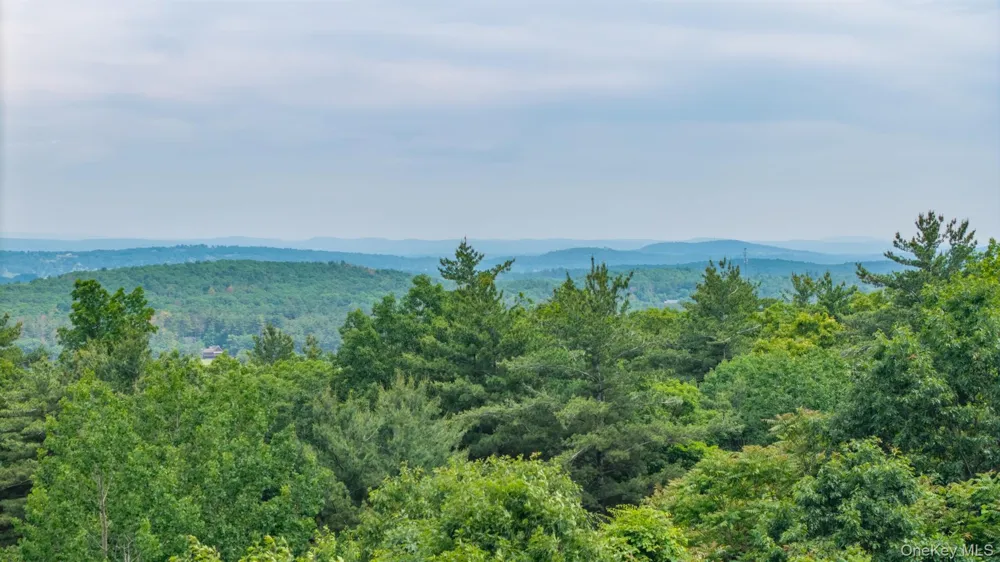 TBD Skinner Lane Athens, NY 12015