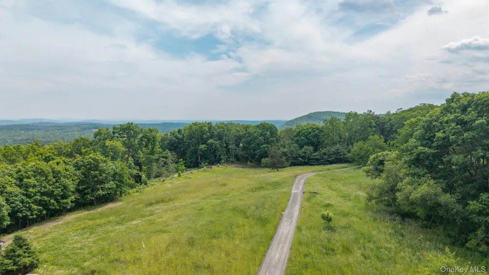 TBD Skinner Lane Athens, NY 12015