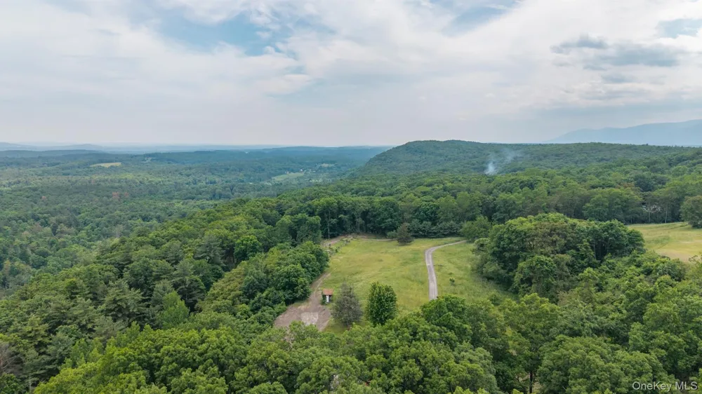 TBD Skinner Lane Athens, NY 12015