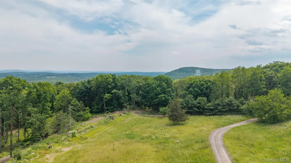 TBD Skinner Lane Athens, NY 12015