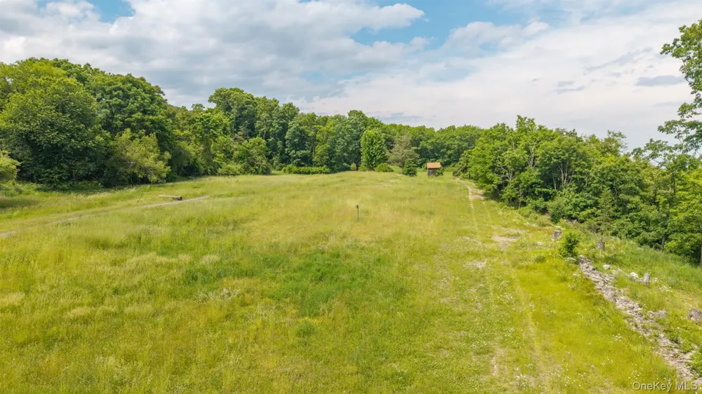 TBD Skinner Lane Athens, NY 12015