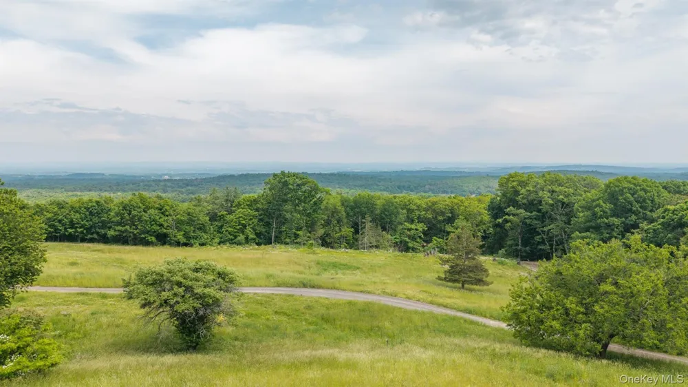 TBD Skinner Lane Athens, NY 12015