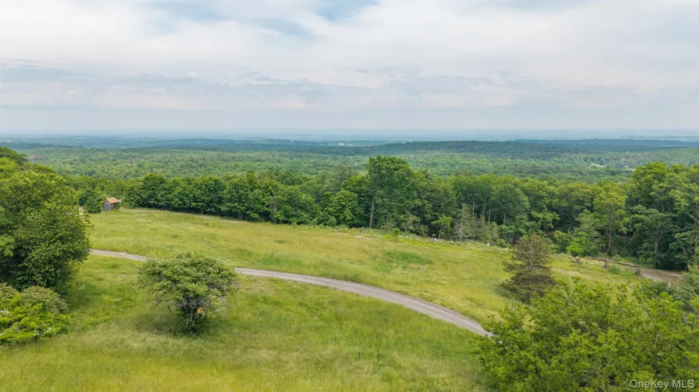 TBD Skinner Lane Athens, NY 12015