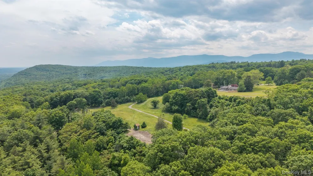 TBD Skinner Lane Athens, NY 12015