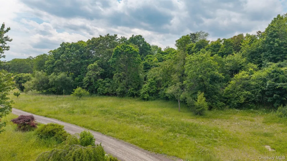 TBD Skinner Lane Athens, NY 12015