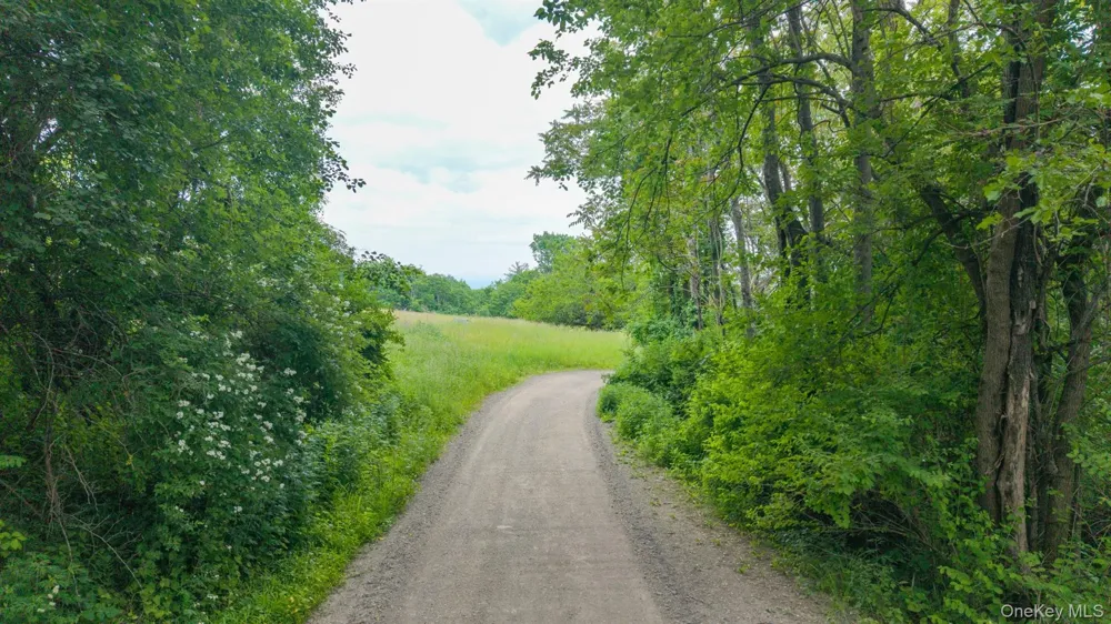 TBD Skinner Lane Athens, NY 12015