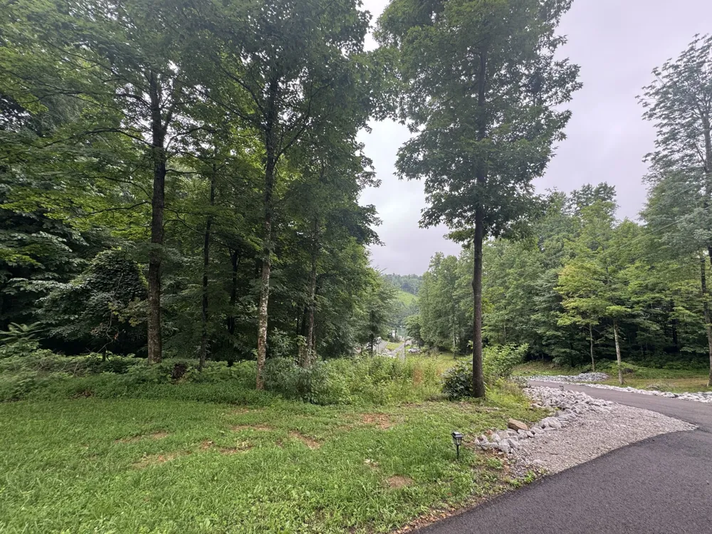 144 Hasty Dr Lynchburg, TN 37352