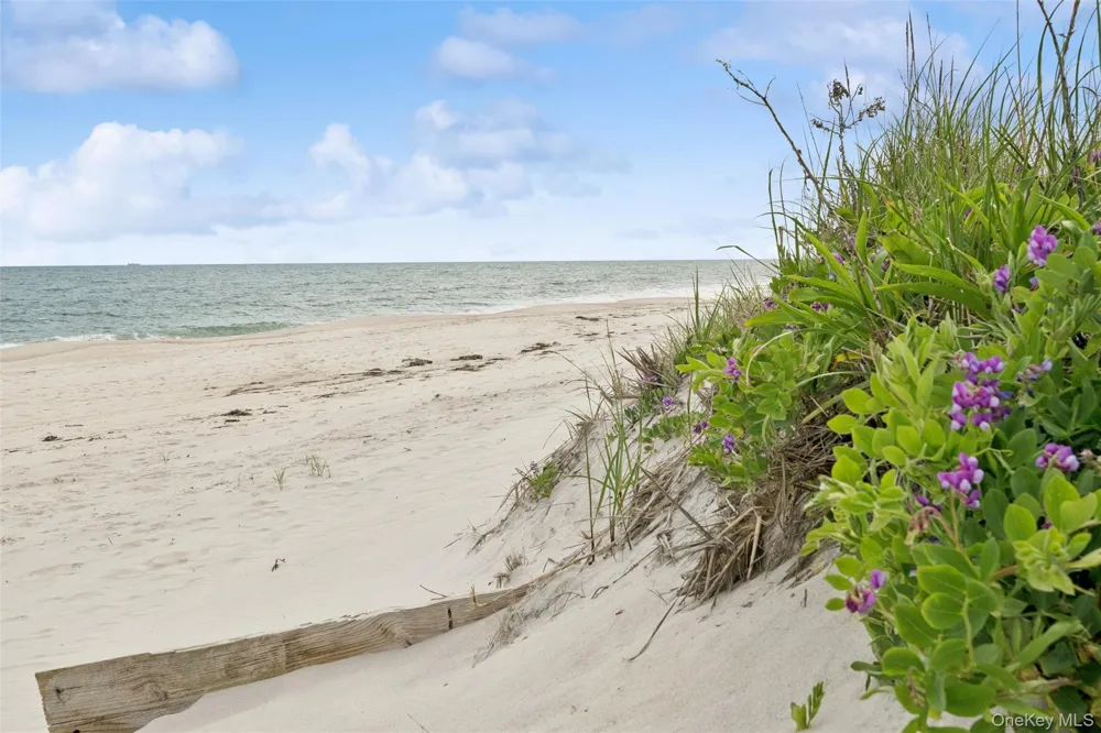 281 Dune Road #17B Westhampton Beach, NY 11978
