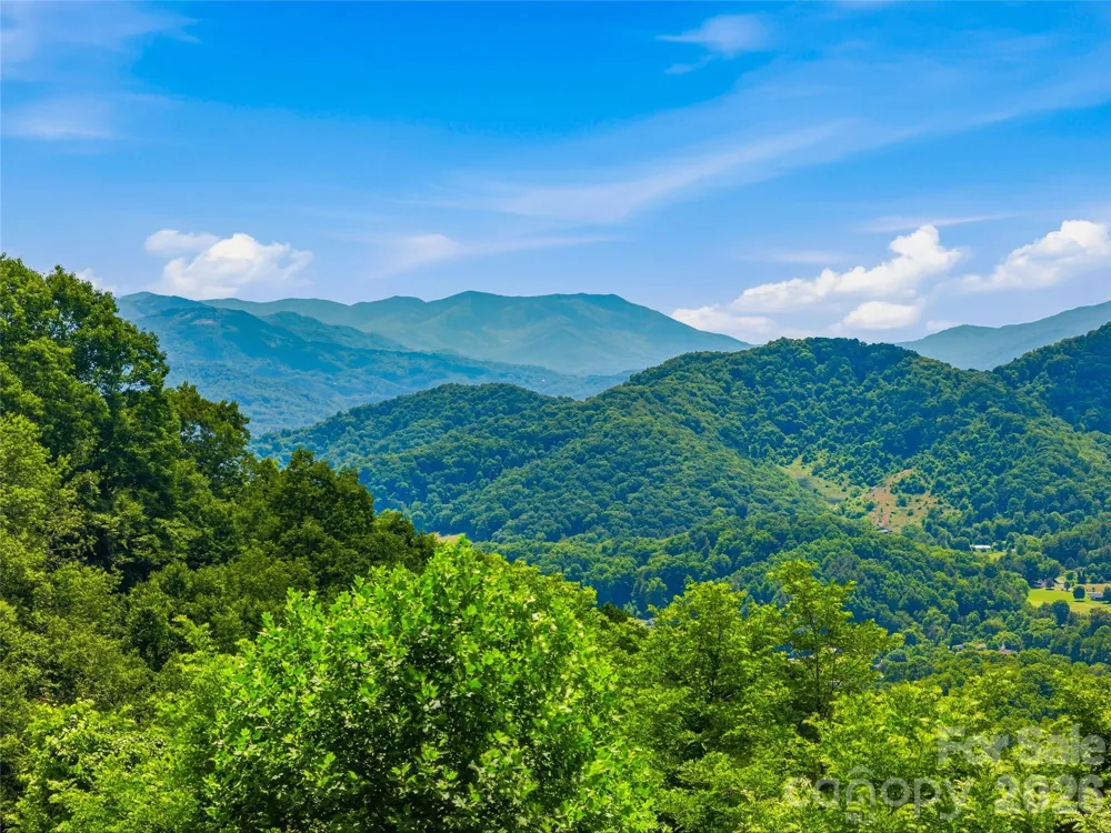 1877 Wilson Cove Road Canton, NC 28716