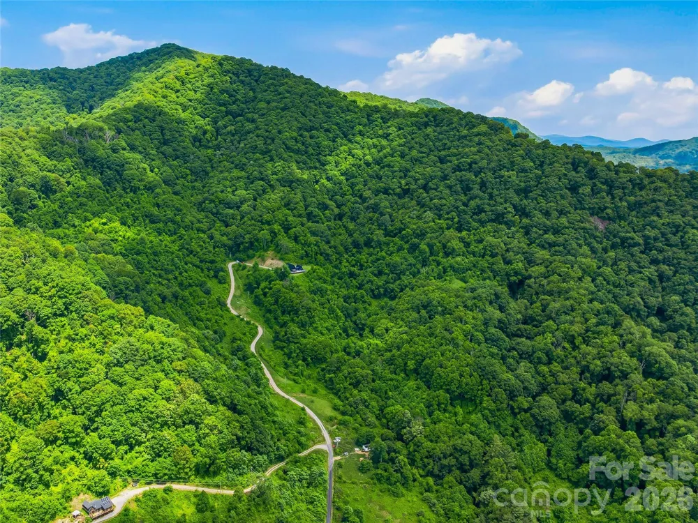 1877 Wilson Cove Road Canton, NC 28716