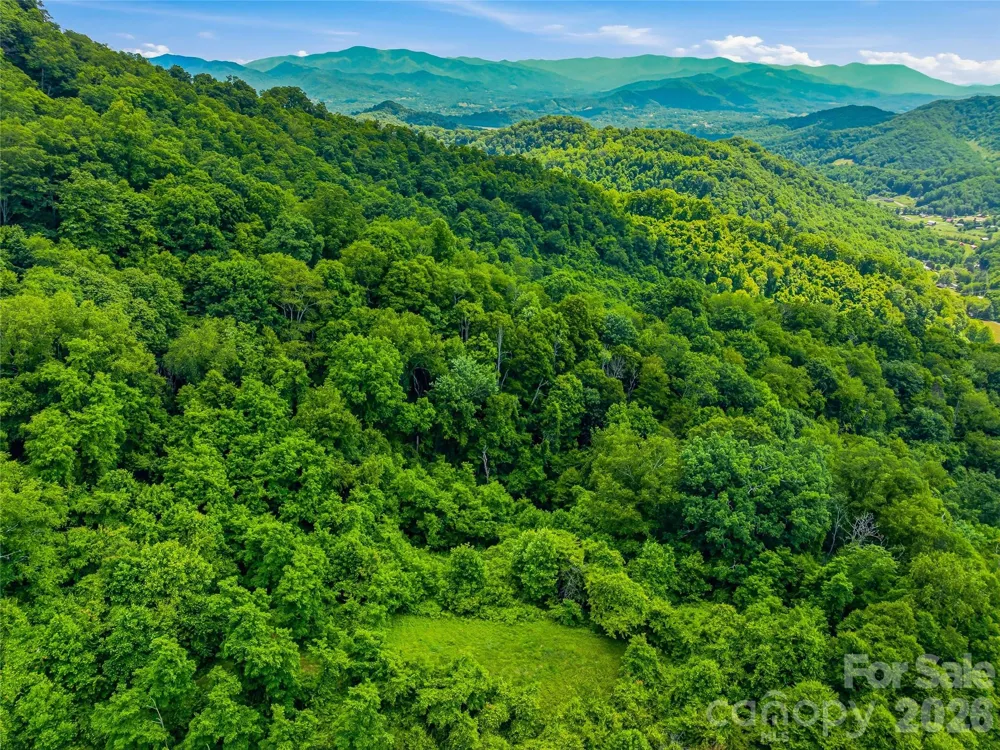 1877 Wilson Cove Road Canton, NC 28716