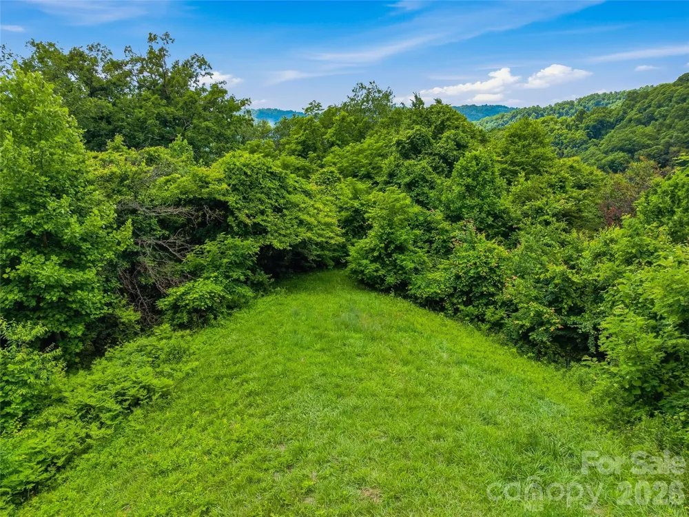 1877 Wilson Cove Road Canton, NC 28716