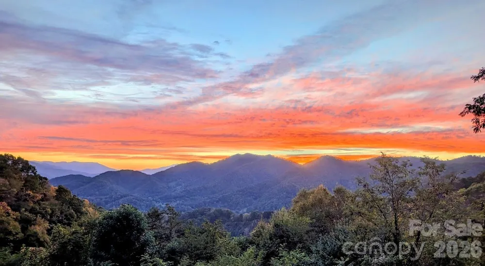 1877 Wilson Cove Road Canton, NC 28716