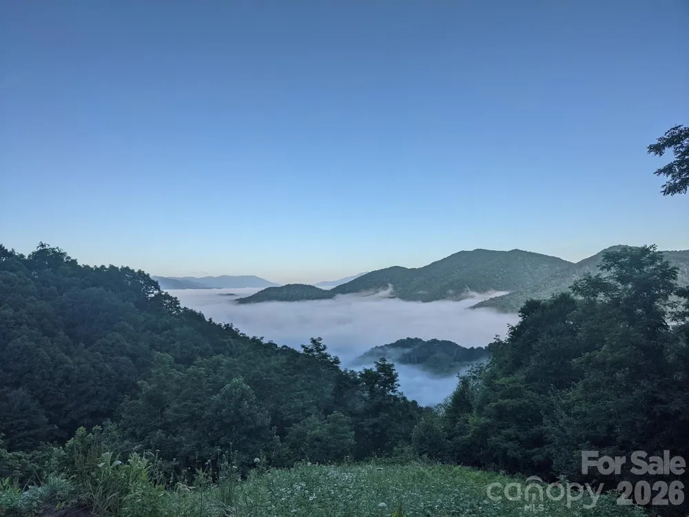 1877 Wilson Cove Road Canton, NC 28716