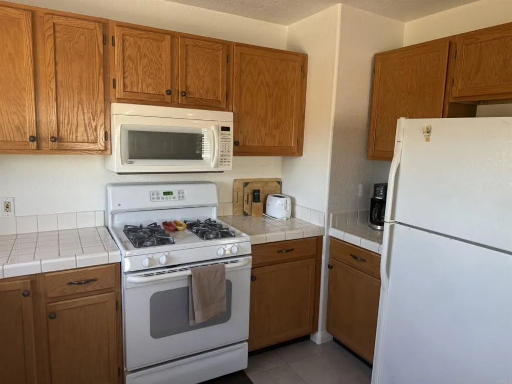 2067 Trebuchet Drive Borrego Springs, CA 92004