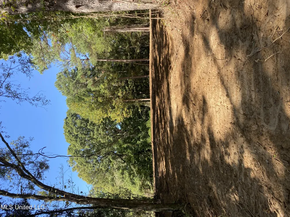 O Bluff Road Coldwater, MS 38618